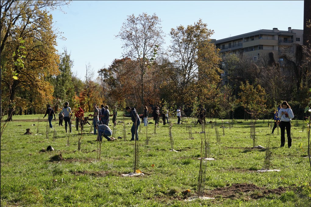 MISSION BAMBINI E MEDIOBANCA INSIEME PER L’AMBIENTE, PIANTATI 500 NUOVI ALBERI